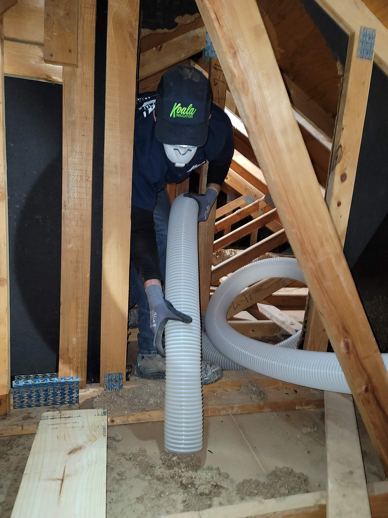 attic insulation removal North Chicagoland