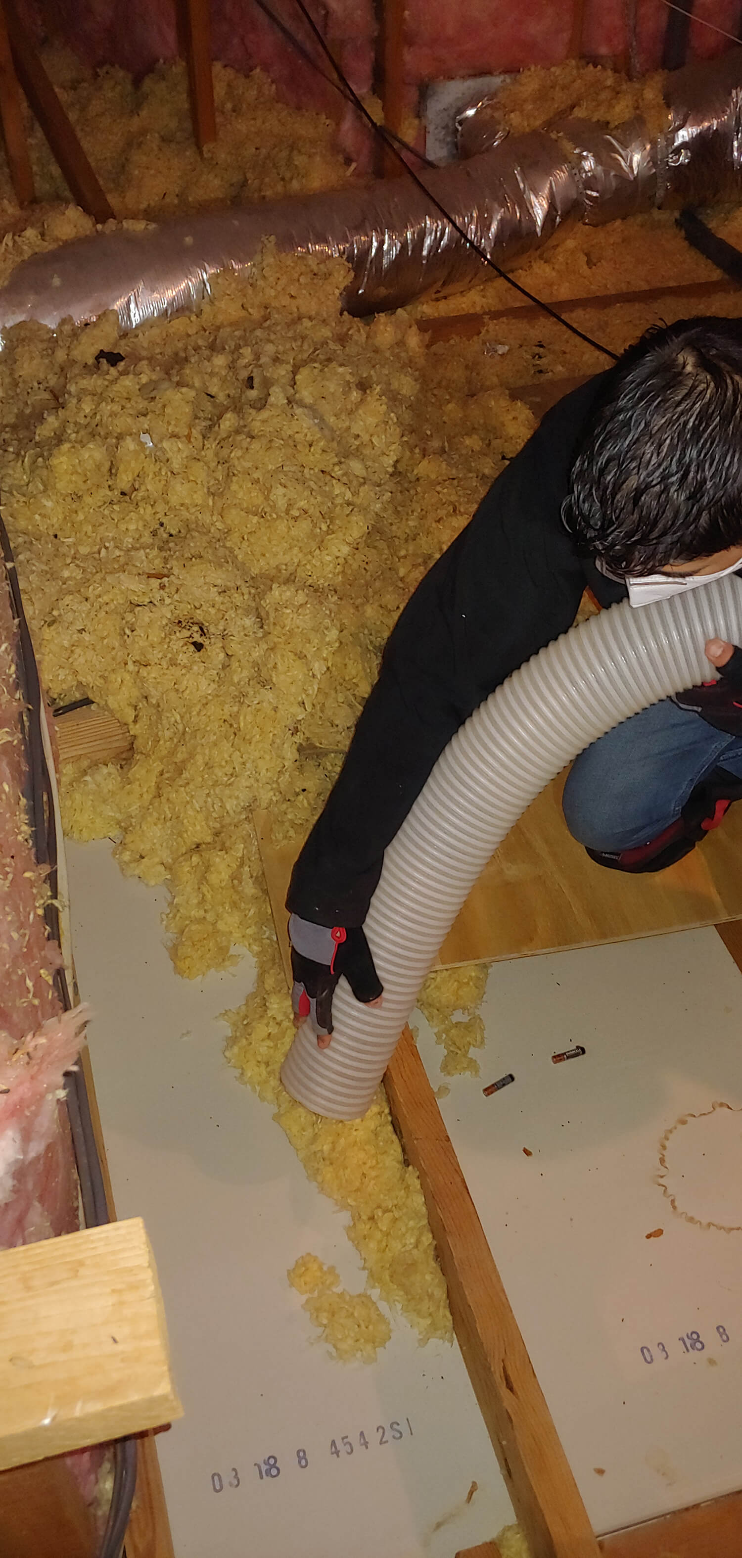 attic insulation removal Arlington Heights